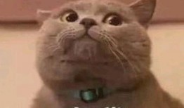 女生网红吃瓜表情包是谁,揭秘女生网红的爆红之路