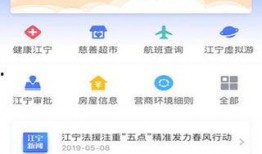 爆料 视频 入口网页版,网页版入口背后的秘密
